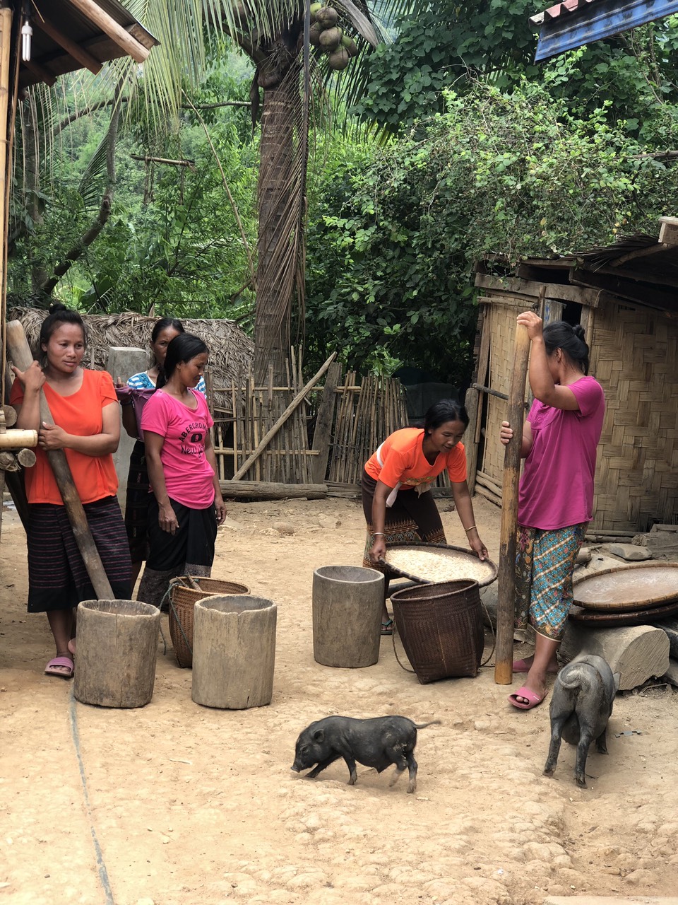 Mystery of Laos in 8 days