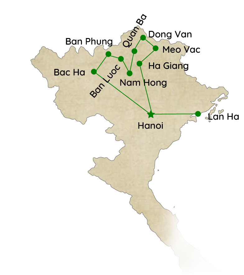 bacha-banphung-luoc-nam-hong-dv-hg-lanha