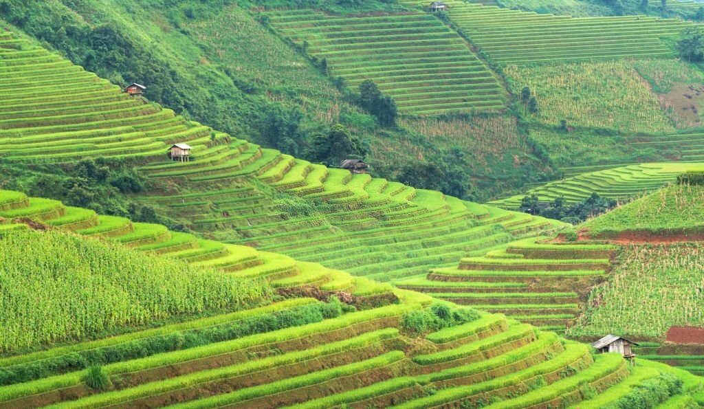 The charms of Vietnam