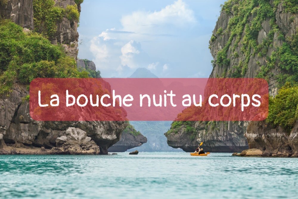 A treasure of Vietnamese proverbs and idioms
