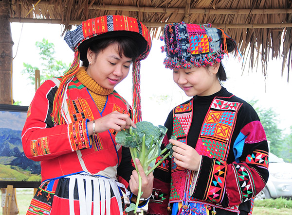 The Lolo of Vietnam