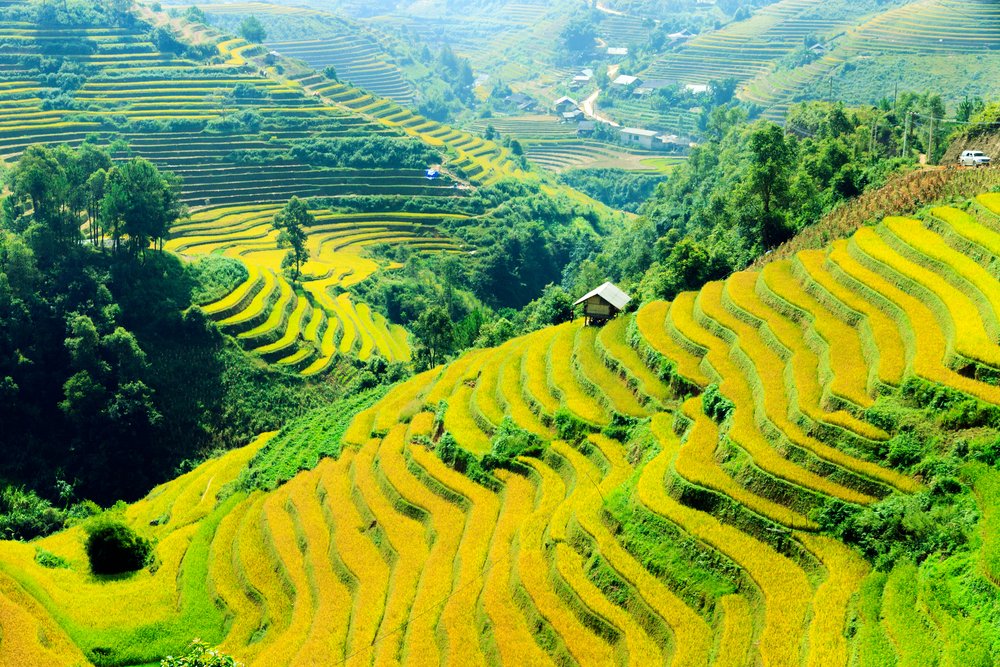 What to do in Mu Cang Chai – Vietnam