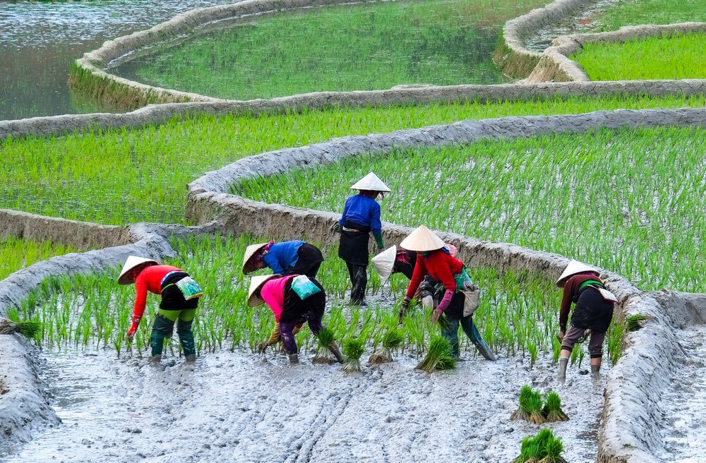 Trekking in Pu Luong
