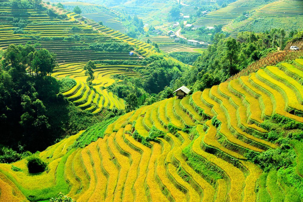 Trekking in Hoang Su Phi
