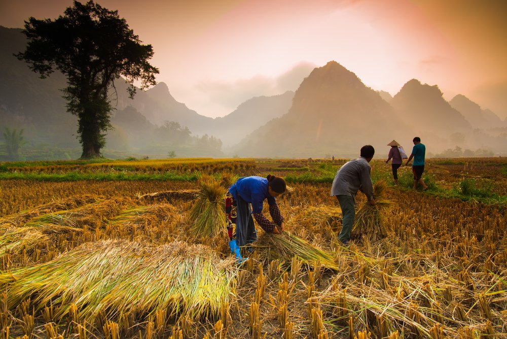 Trekking in Cao Bang