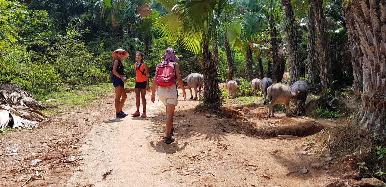 Where to go trekking in Vietnam