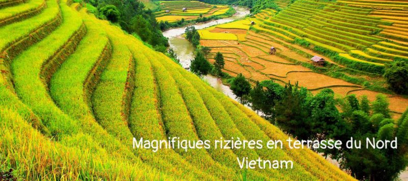 Paysages de montagnes et rizières dans le nord du Vietnam