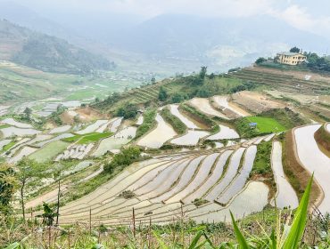 Circuit Nord-Ouest Vietnam 11 jours : Rizières et Baie de Lan Ha