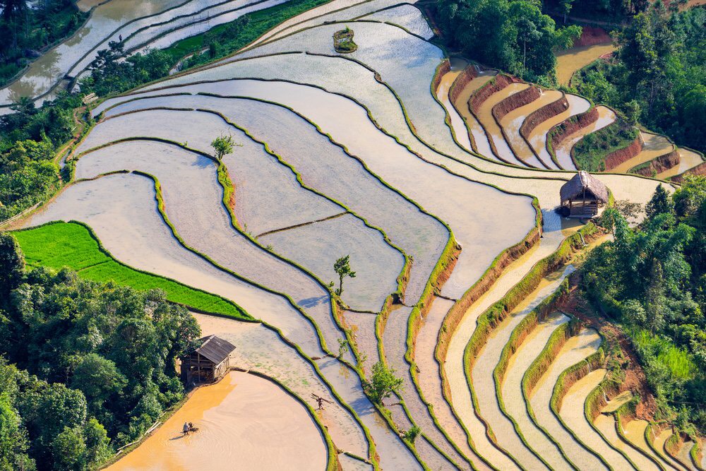Les rizières en terrasses à Hoang Su Phi