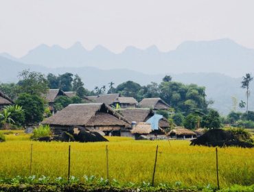 Circuit Nord Vietnam 15 Jours : Authentique et Inoubliable