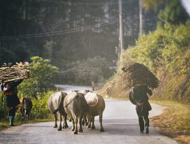 Trek de 21 Jours au Vietnam, entre Montagnes et Culture