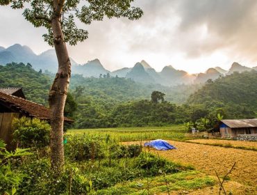 Trek Nord-Est Vietnam : Immersion Ethnique en 8 Jours