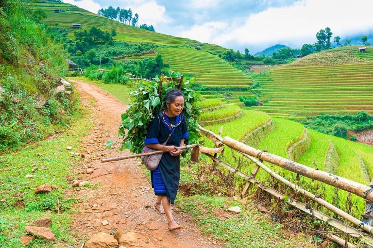 visite Mu Cang Chai