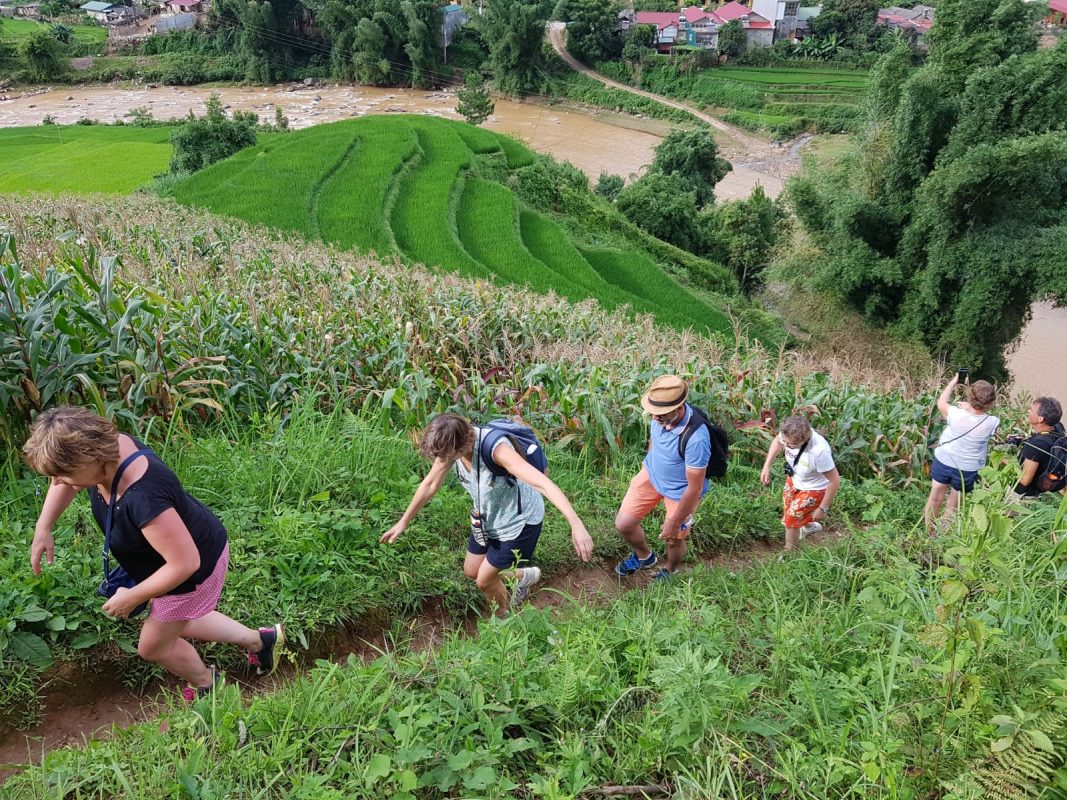 Voyageurs en randonnée dans les paysages de Sapa au nord du Vietnam