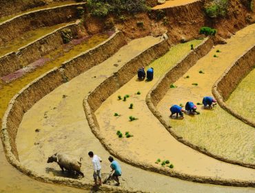 Circuit Vietnam 17 jours : Hanoi, Baie d’Halong, Hué, Hoi An