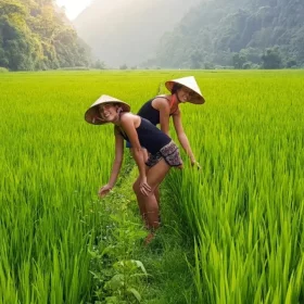 Voyage sur mesure Vietnam
