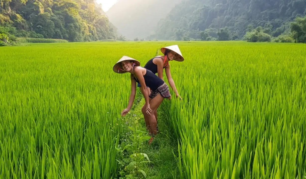 Voyage sur mesure Vietnam