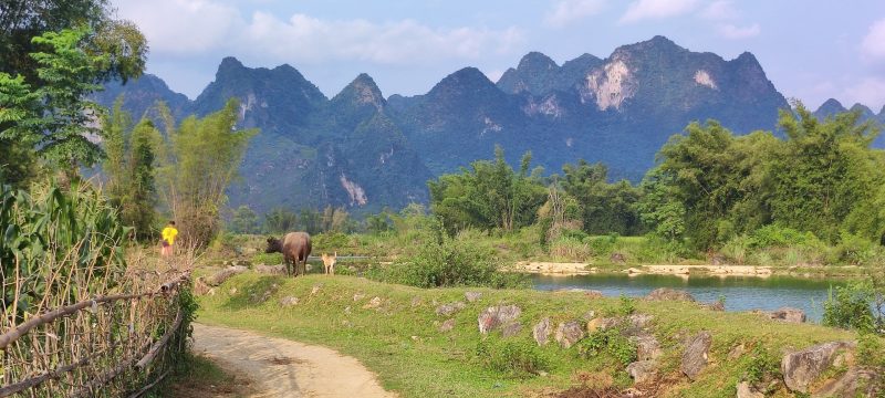 Paysage autour du village de Khuoi Ky, entre maisons traditionnelles et montagnes karstiques de Cao Bang.