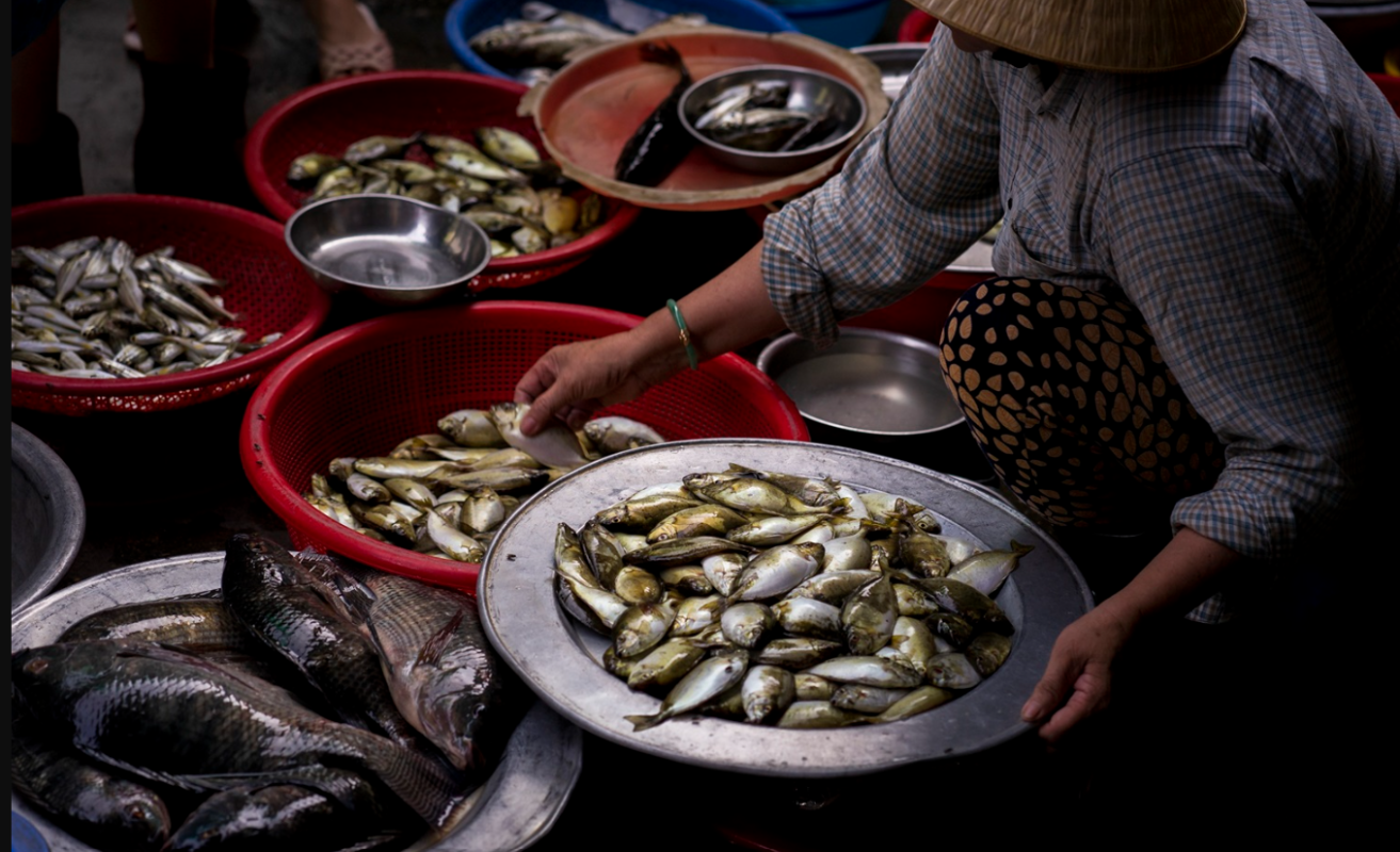 Marché aux poissons