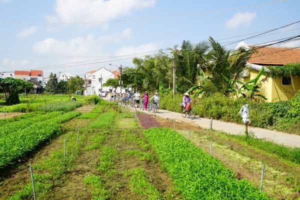 Le village de Tra Que
