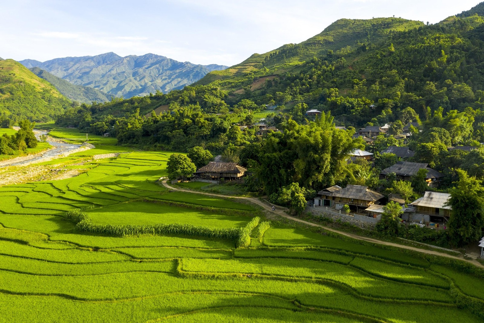 Les rizières de la vallée de Tu Le, sur la route des photographes