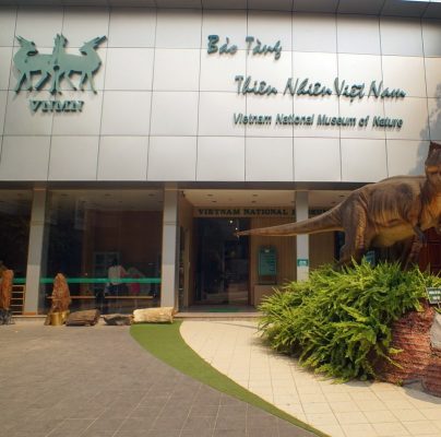 le musée de la nature du Vietnam