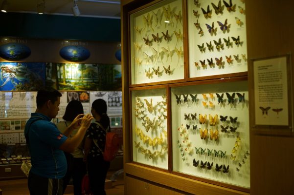 le Musée de la Nature du Vietnam