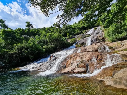 Forêt de Khé Ro