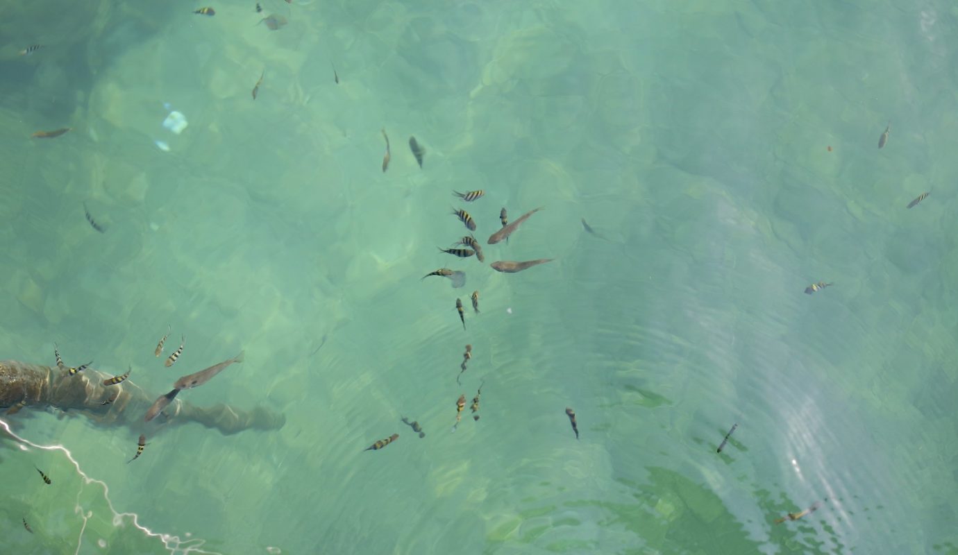 le village de pêcheurs de Nhon Hai à Quy Nhon