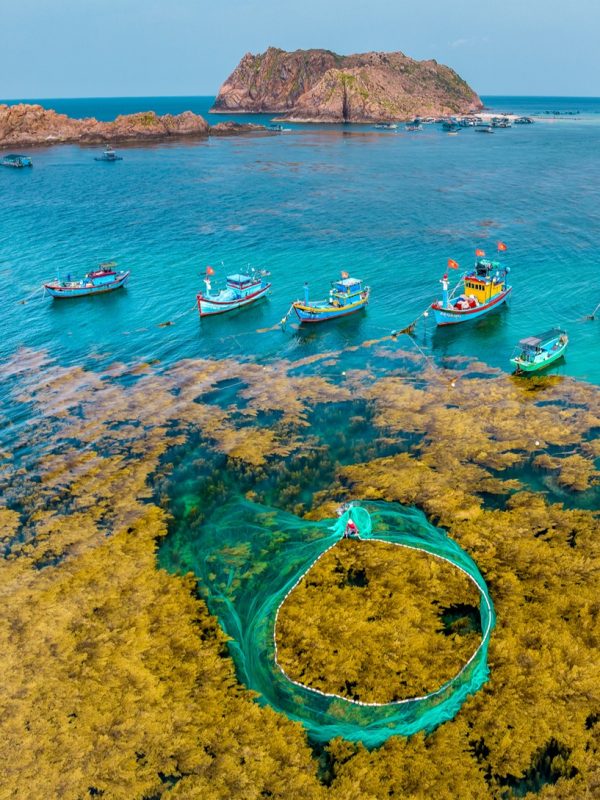 le village de pêcheurs de Nhon Hai à Quy Nhon