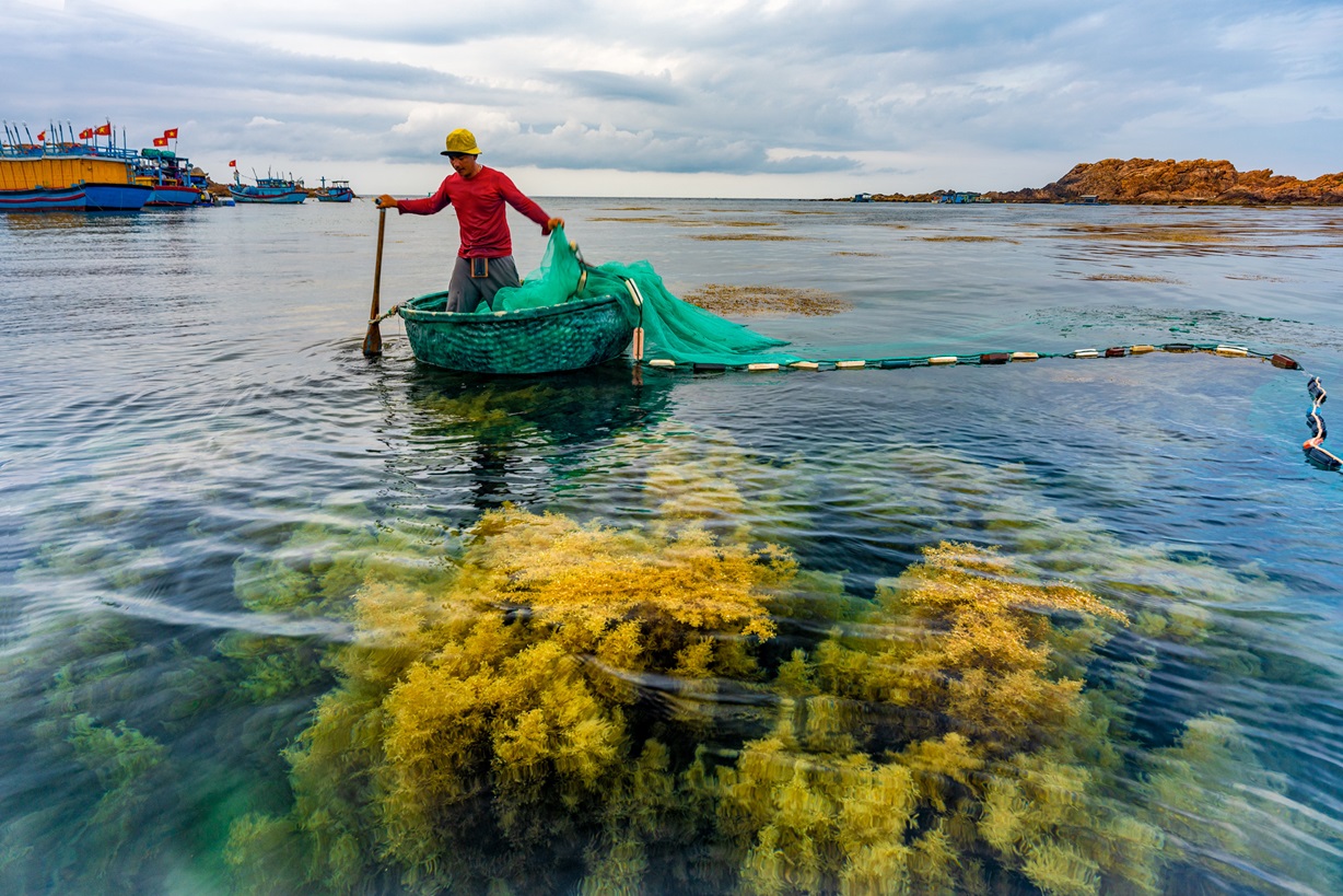 le village de pêcheurs de Nhon Hai à Quy Nhon