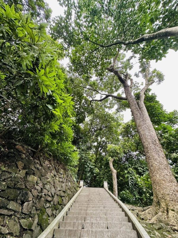 Les Temples des rois Hùng