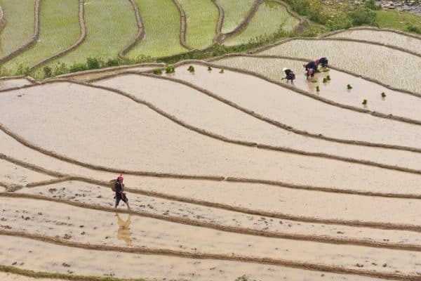 9 beaux villages de Sapa à visiter