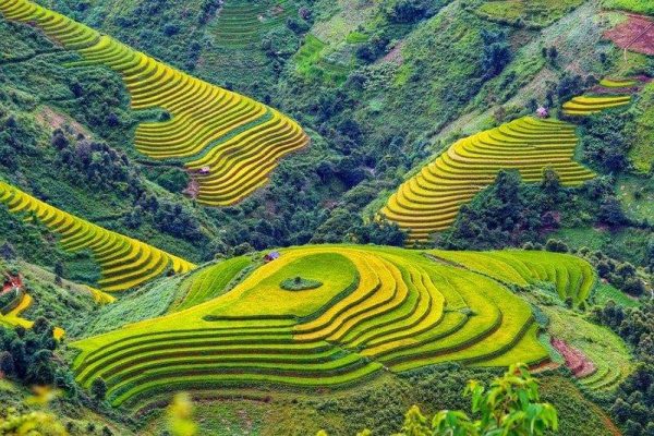 Le Village de Tả Phìn