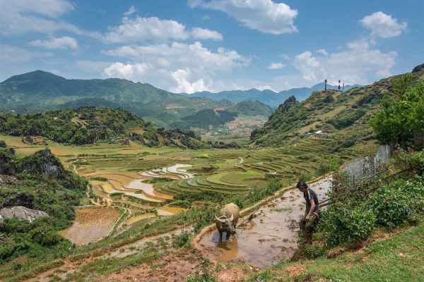 Le Village de Tả Phìn