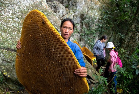 Village de Hoài Khao à Cao Bang