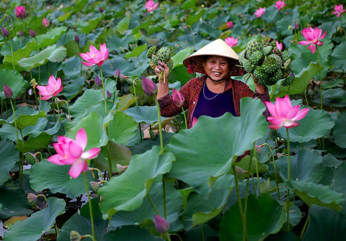 lotus-vietnam-vietnam-evasion