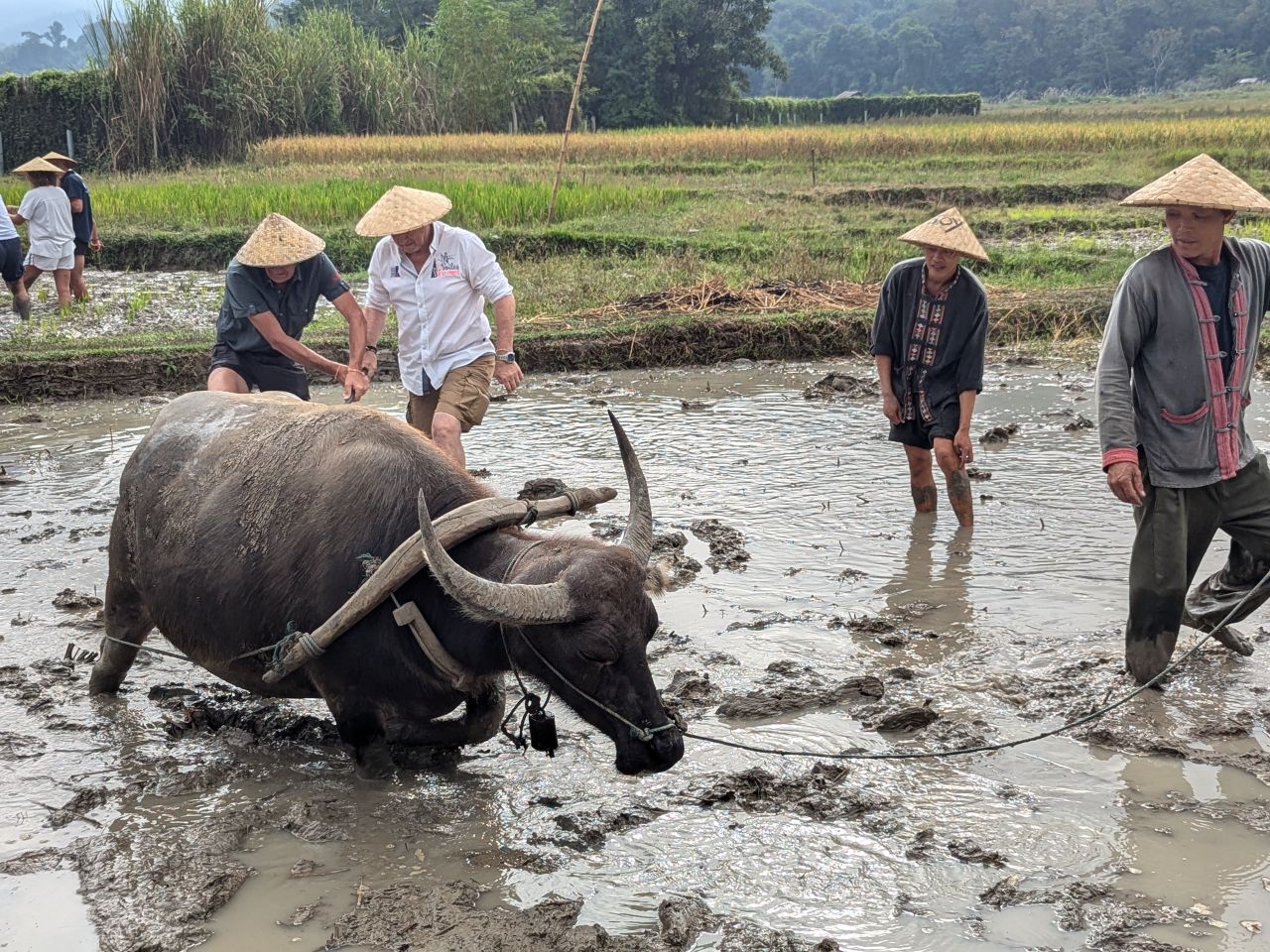 carnet-de-voyage-luang-prabang-4-3