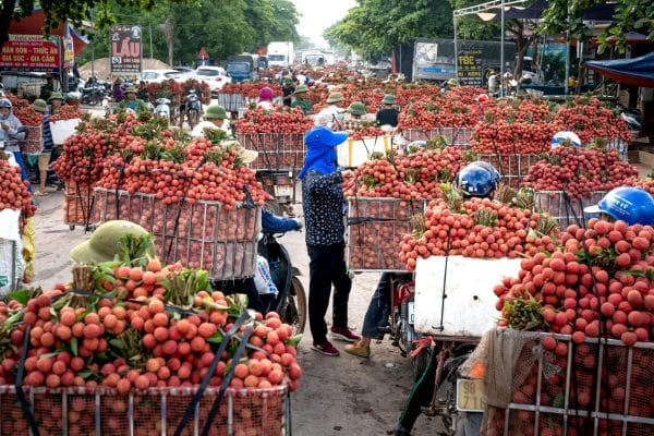 fruit vietnamien