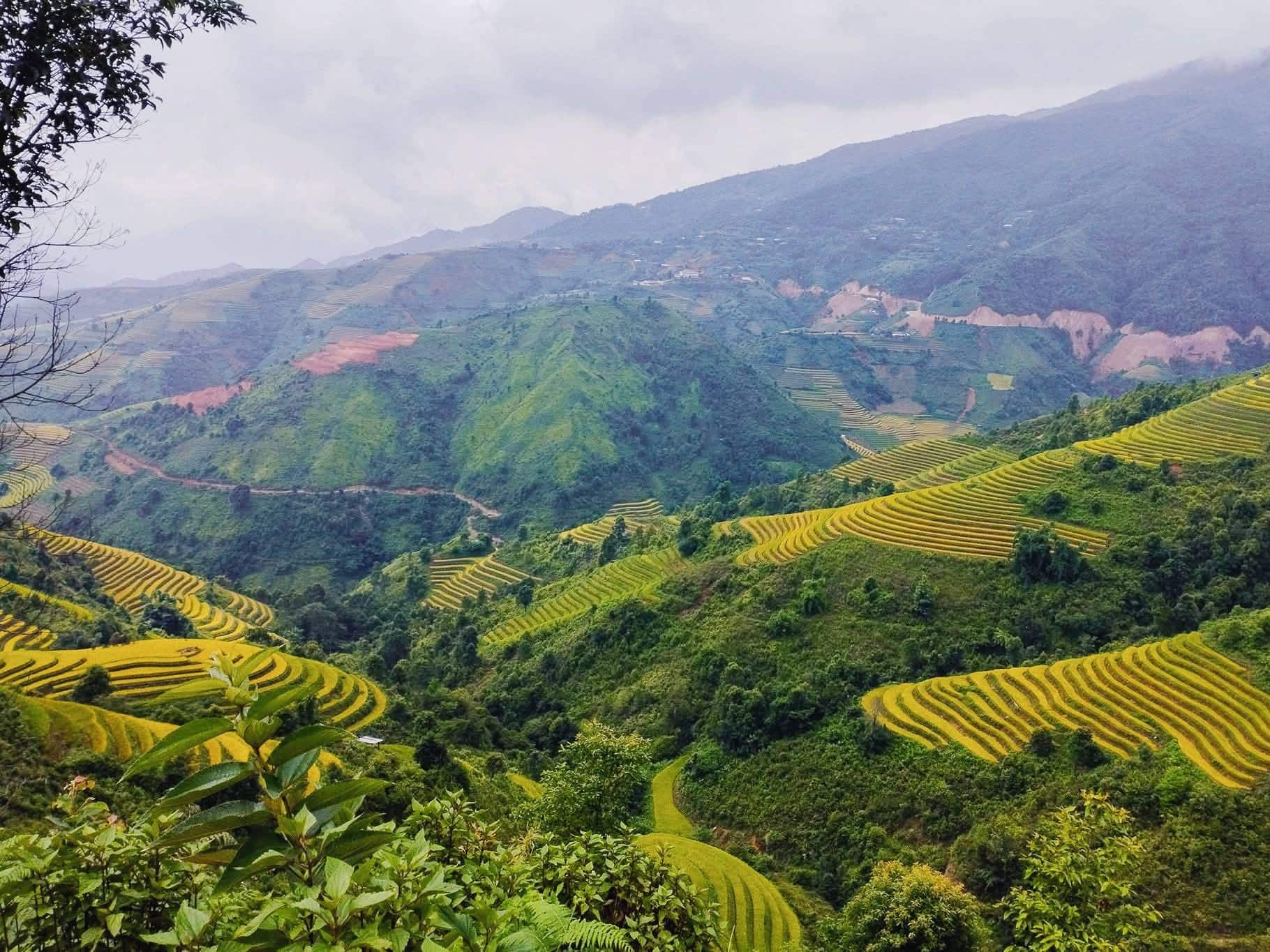 ta-xua-montagne-vietnam
