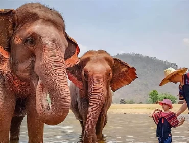 Thaïlande Splendide en 16 jours
