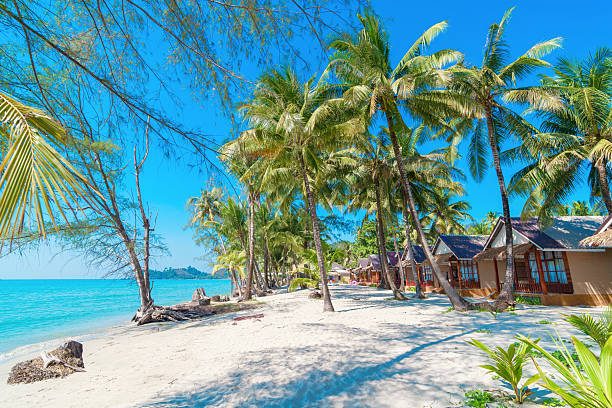 Passion de la Thailande en 14 jours