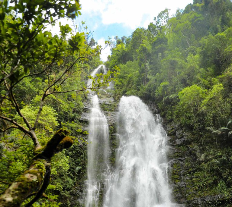 Parc national de Pù Mát