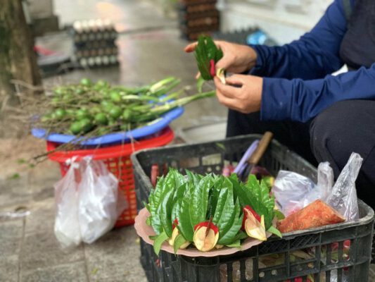 betel vietnam