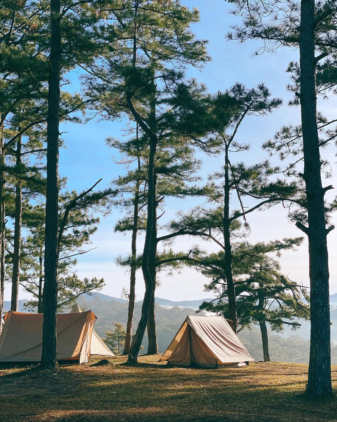 da-lat-vietnam-en-decembre