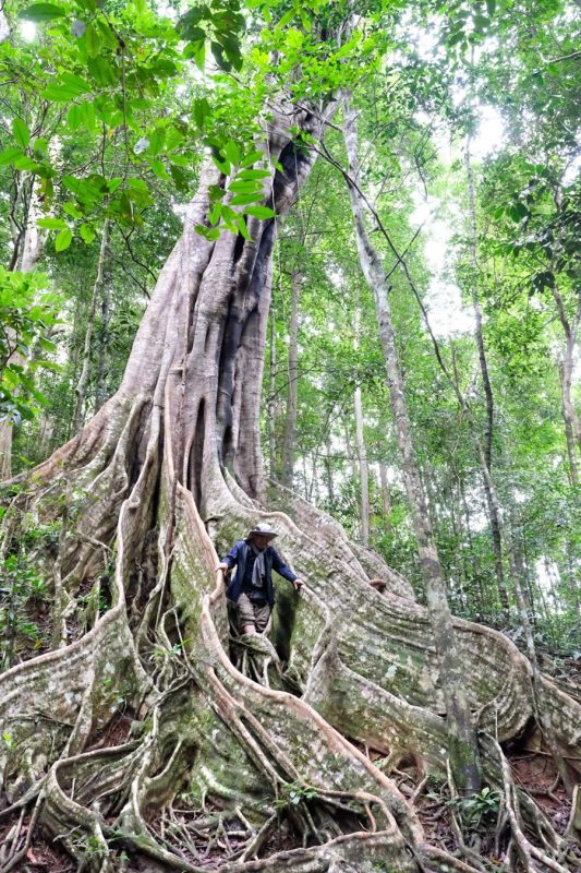 Parc national de Kon Ka Kinh