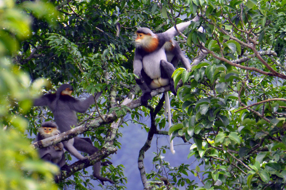 Parc national de Kon Ka Kinh