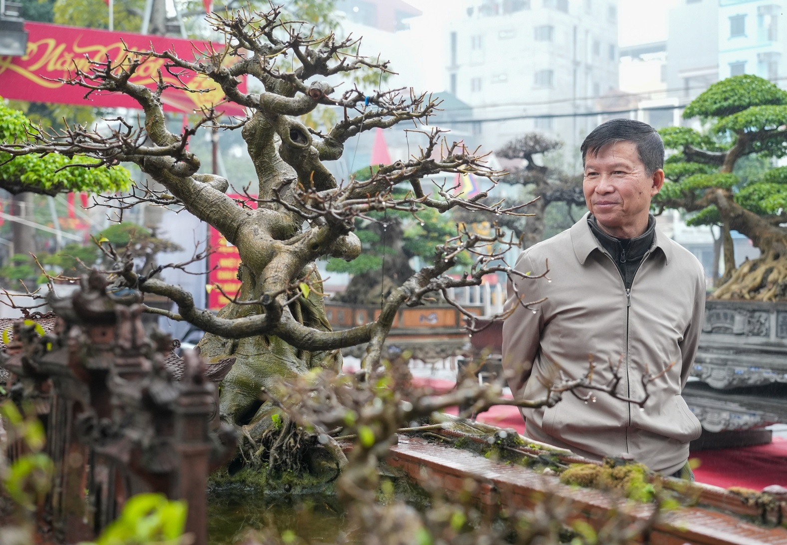 Triều Khúc – village des bonsaïs à Hanoï