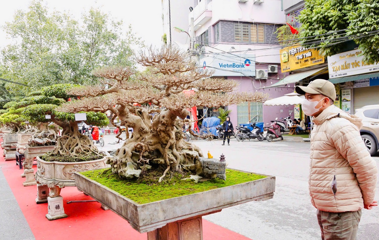 Triều Khúc – village des bonsaïs à Hanoï