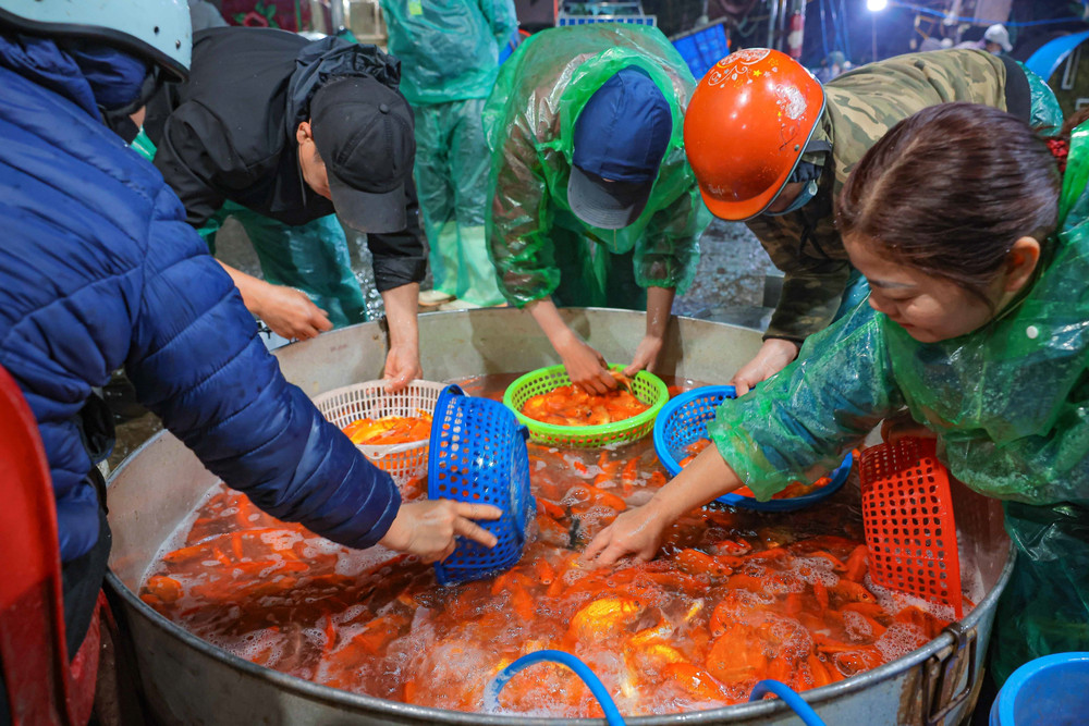 marchés aux poissons au Vietnam